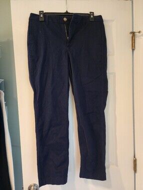 Jcrew Navy Chino Pants
